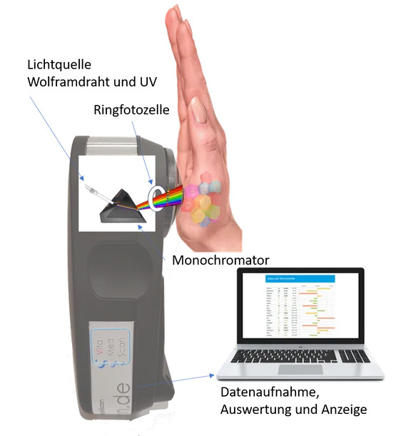 VitaCellScan Messung
